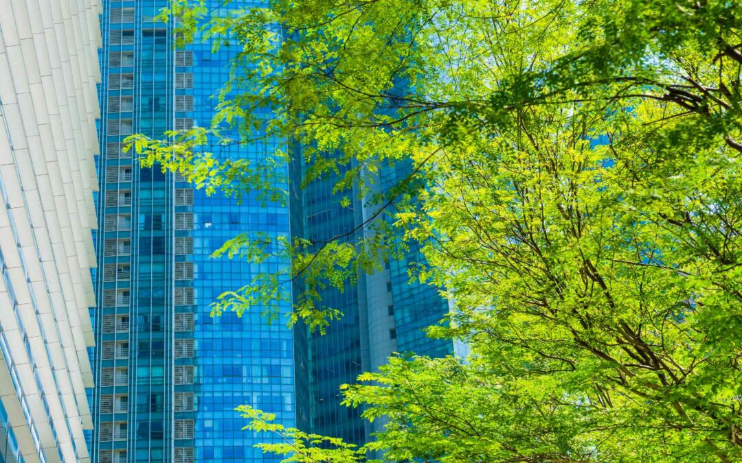 Électrification des usages : la feuille de route complète pour la transition énergétique